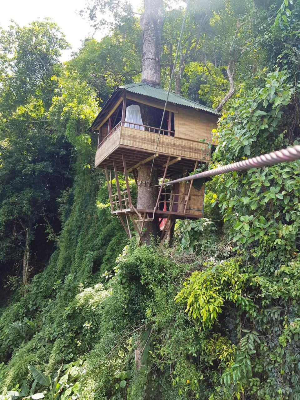 Elephant Adventure Village Tree House 万荣 外观 照片